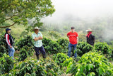 Finca El Pedral: Caramelo, manzana, miel