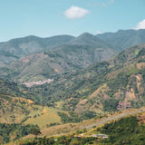 Finca Los Naranjos: Miel, chocolate, melón, mandarina