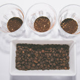 The Coffee Lab - Experiencia de Café con Catación - 2 horas