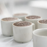 The Coffee Lab - Experiencia de Café con Catación - 2 horas