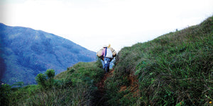 Reserva Especial Caturra de 30 años – Anzá, Güíntar (Antioquia, Colombia)